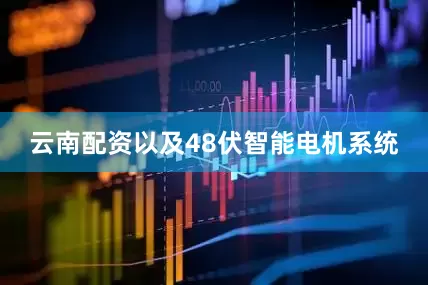 云南配资以及48伏智能电机系统