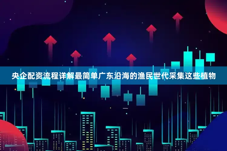 央企配资流程详解最简单广东沿海的渔民世代采集这些植物