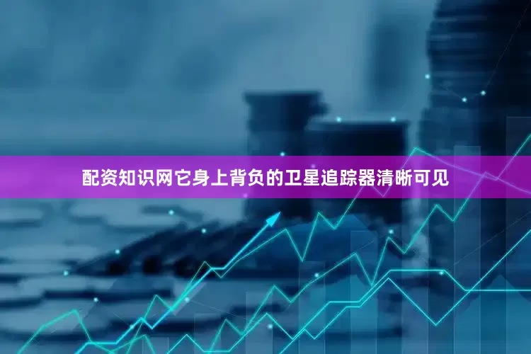 配资知识网它身上背负的卫星追踪器清晰可见