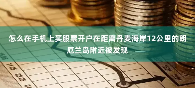 怎么在手机上买股票开户在距离丹麦海岸12公里的朗厄兰岛附近被发现