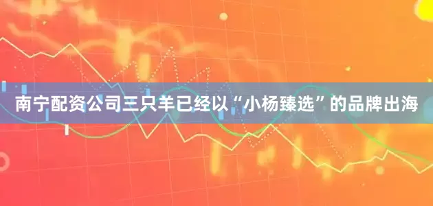 南宁配资公司三只羊已经以“小杨臻选”的品牌出海