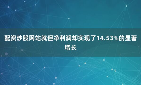 配资炒股网站就但净利润却实现了14.53%的显著增长