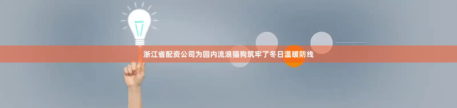 浙江省配资公司为园内流浪猫狗筑牢了冬日温暖防线