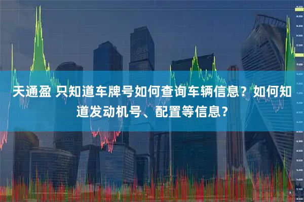 天通盈 只知道车牌号如何查询车辆信息？如何知道发动机号、配置等信息？
