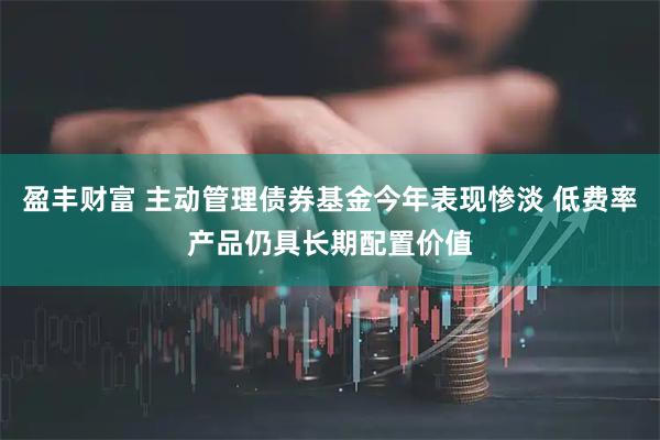 盈丰财富 主动管理债券基金今年表现惨淡 低费率产品仍具长期配置价值