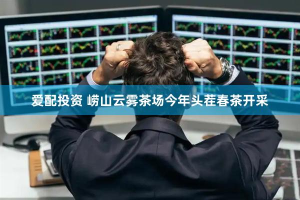 爱配投资 崂山云雾茶场今年头茬春茶开采
