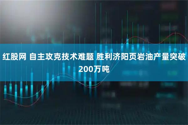 红股网 自主攻克技术难题 胜利济阳页岩油产量突破200万吨