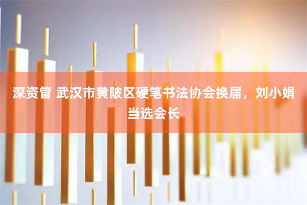 深资管 武汉市黄陂区硬笔书法协会换届，刘小娟当选会长